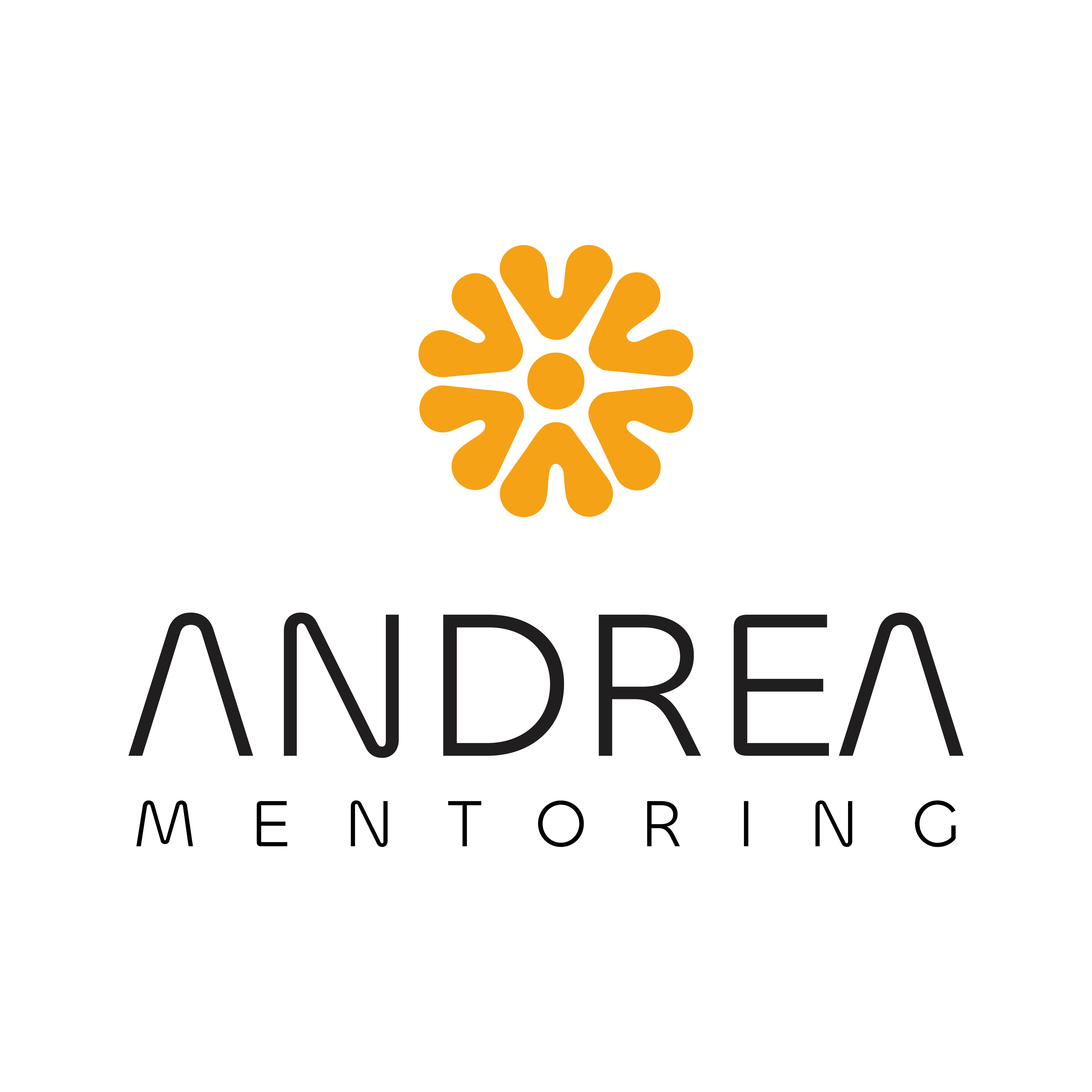 Academia Andrea Mentoring